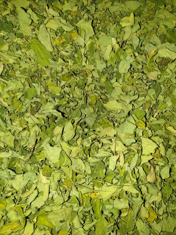 Moringa-Tee 50 g